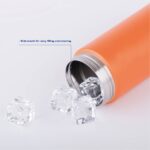 ince cubes in Thermos Water Bottle - Haers Drinkware