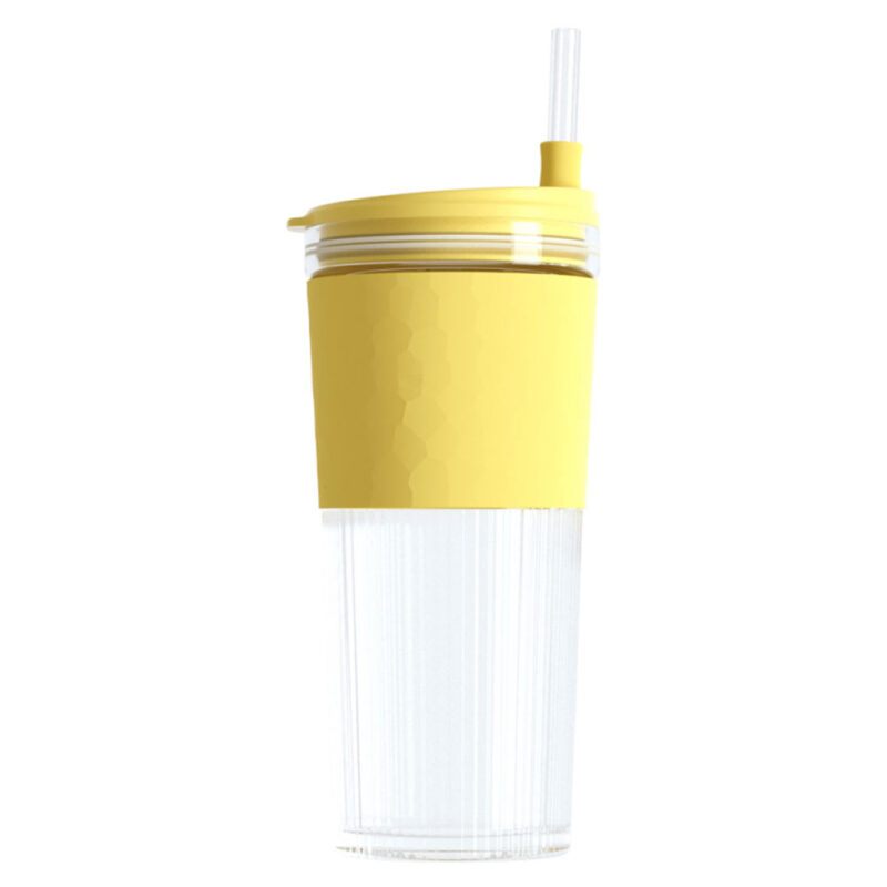 Haers Borosilicate Glass Tumbler with straw