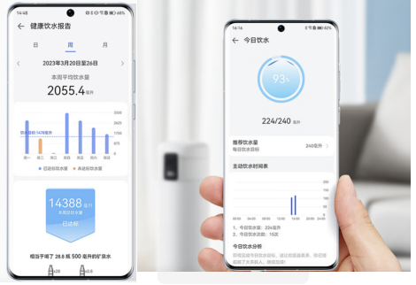 Daily Water Intake Report