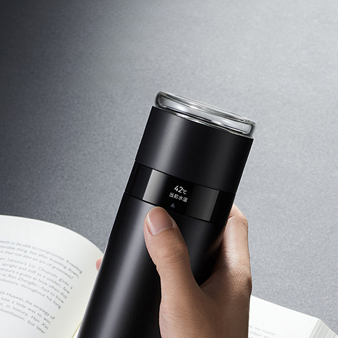 Display Screen  and  Control Chip