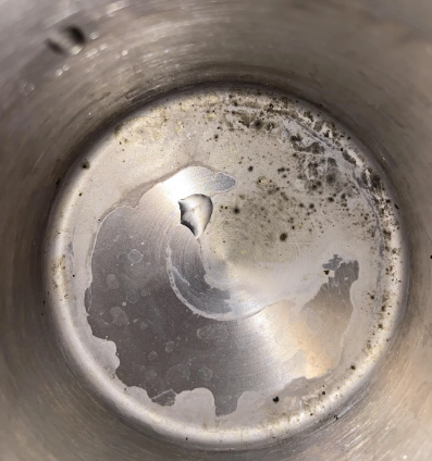 mold in water bottle